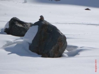 kaunertal20100403_051_01
