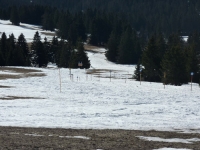 feldberg_20120402_003