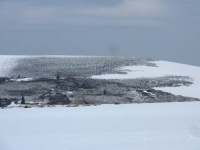 feldberg_20120414_007