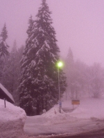 feldberg_20121222_002