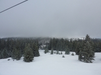 feldberg_20121231_029