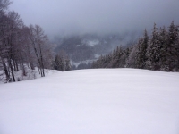 feldberg_20111230_015