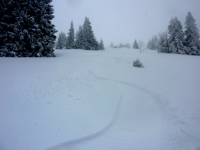 feldberg_20111231_020