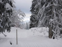 feldberg_20131201_017