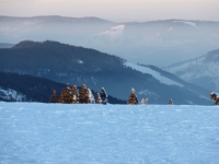 feldberg_20120209_228