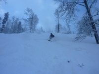 feldberg_20130209_005