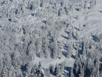 feldberg_20130210_052