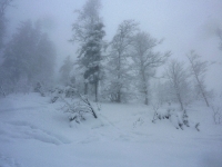 feldberg_20130215_014