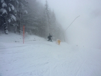 feldberg_20130215_046