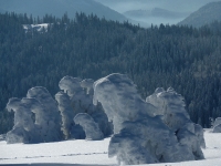 feldberg_20130216_036