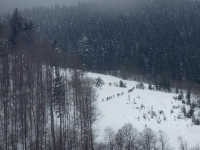 feldberg_20130217_016