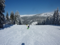 feldberg_20130218_072