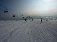 feldberg_20130225_014