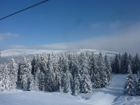 feldberg_20130225_033