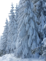 feldberg_20130225_037