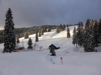 feldberg_20140209_014