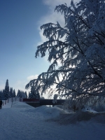 feldberg_20120201_018