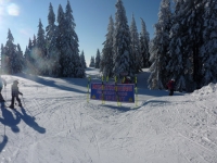 feldberg_20120203_026