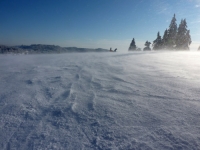 feldberg_20120204_027