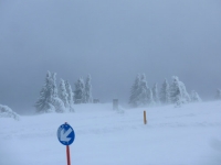 feldberg_20120219_012