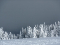 feldberg_20120219_038