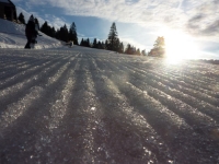 feldberg_20120225_001