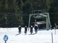 feldberg_20120229_138