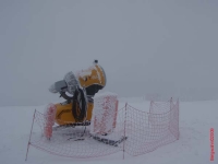 feldberg20091216_027