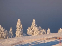 feldberg20091220_005