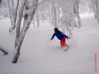 feldberg20100201_021