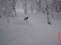 feldberg20100201_023