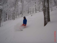 feldberg20100201_026