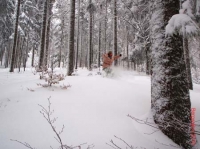 feldberg20100201_033