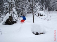 feldberg20100201_039