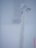 feldberg20100202_002