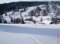 feldberg20100204_023