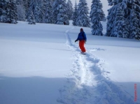 feldberg20100215_026