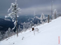 feldberg20100215_043