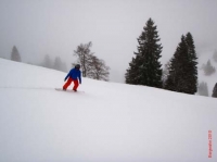 feldberg20100222_003_0