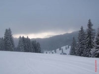 feldberg20100102_011