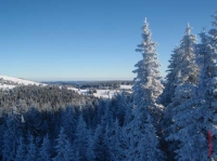 feldberg20100104_005