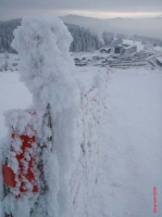 feldberg20100111_008