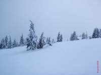 feldberg20100118_017