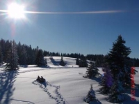 feldberg20100119_016