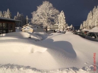 feldberg20100130_014