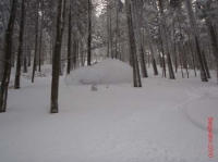 feldberg20100130_027