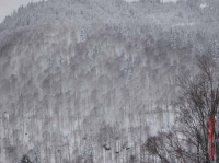 feldberg20100130_083