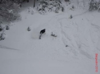 feldberg20100130_098