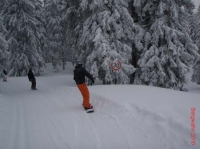 feldberg20100131_008