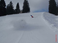 feldberg20100309_004